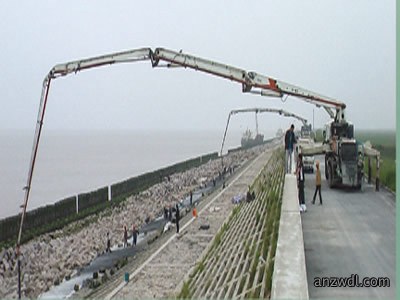 奉贤华电灰坝应急加固工程